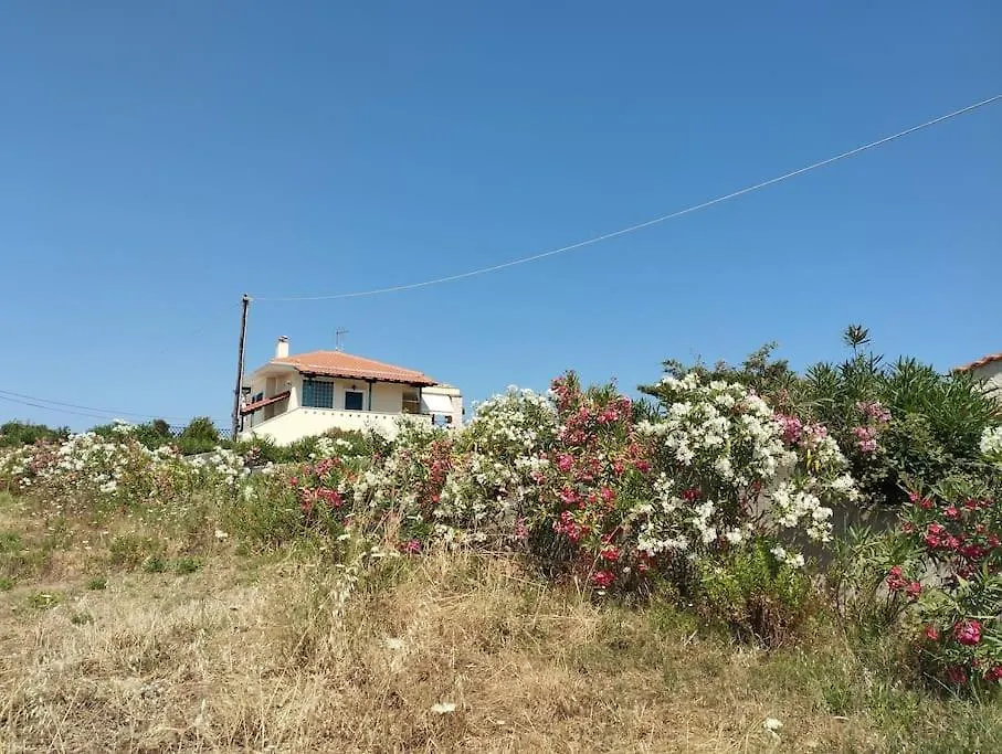 Villa With Sea-View In Possidi, Chalkidike 0*, Possidi